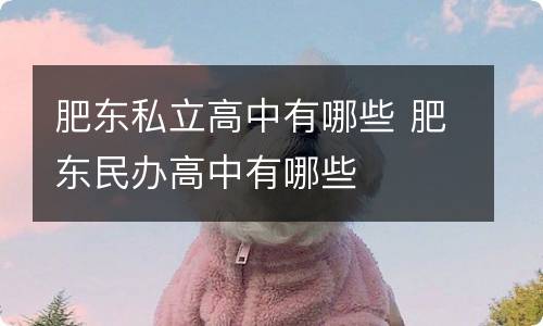 肥东私立高中有哪些 肥东民办高中有哪些